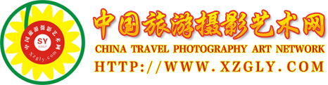 每日评帖